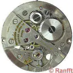 Enicar_1010.webp