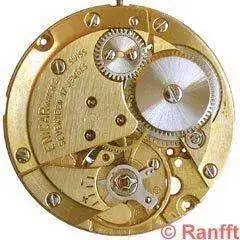 Enicar_1140.webp