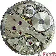 Enicar_1152.webp