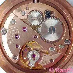 Enicar_982.webp