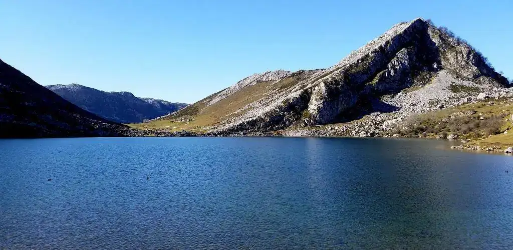 enol (2).webp