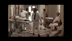EnormousJoyousAdouri-max-1mb.gif