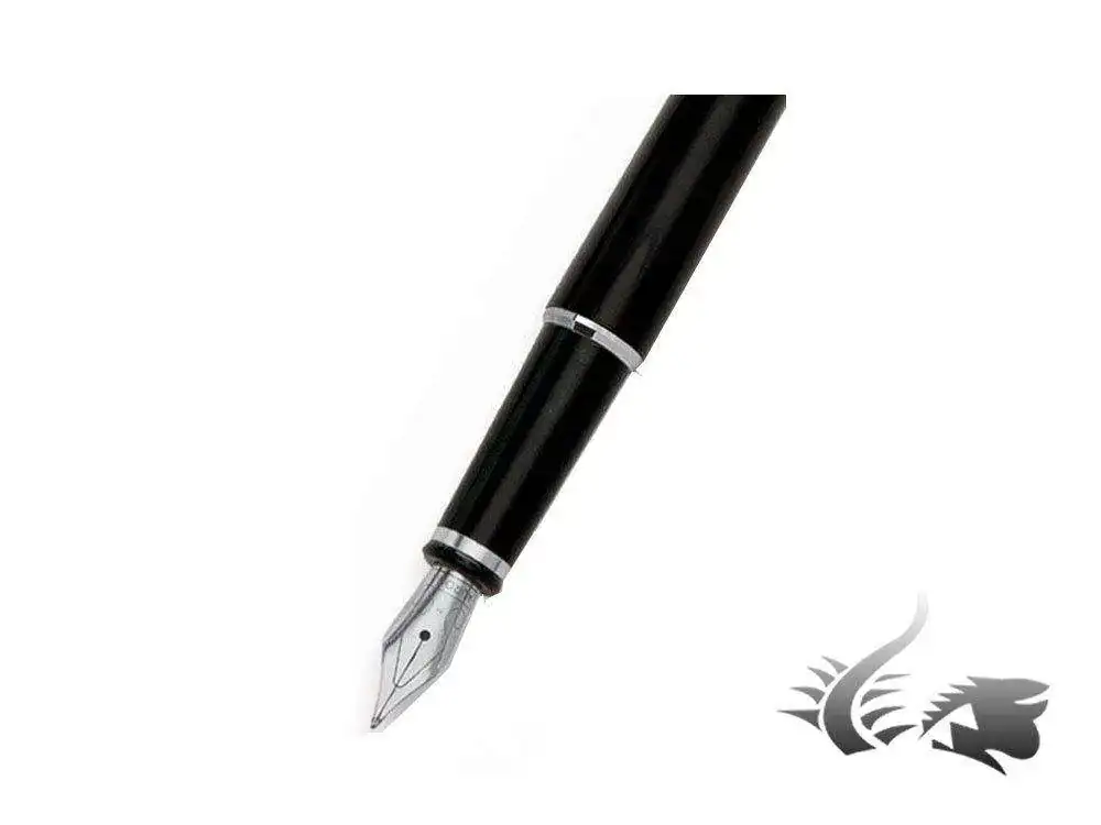 entum-Fountain-Pen-Resin-Chrome-trim-Black-D14-N-2.webp