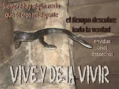envidias.webp