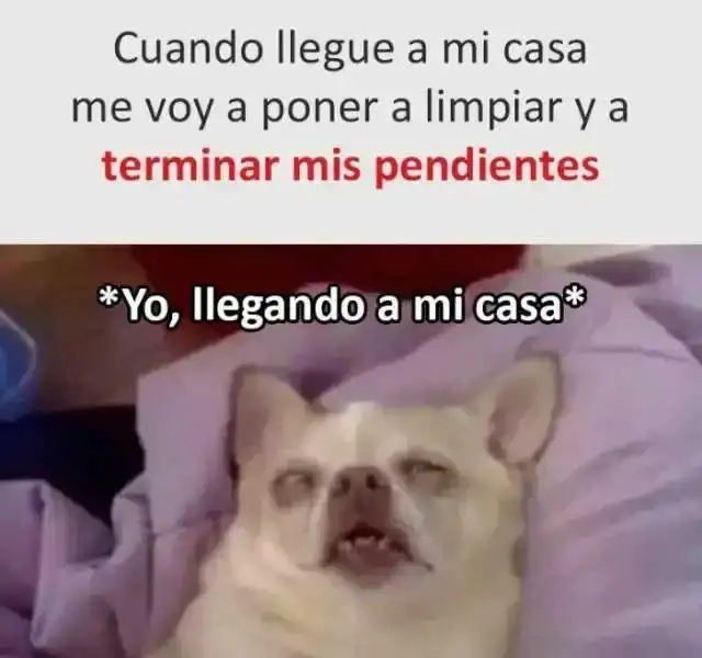 erminar-mis-pendientes-yo-llegando-a-mi-casa-DwQV0.webp