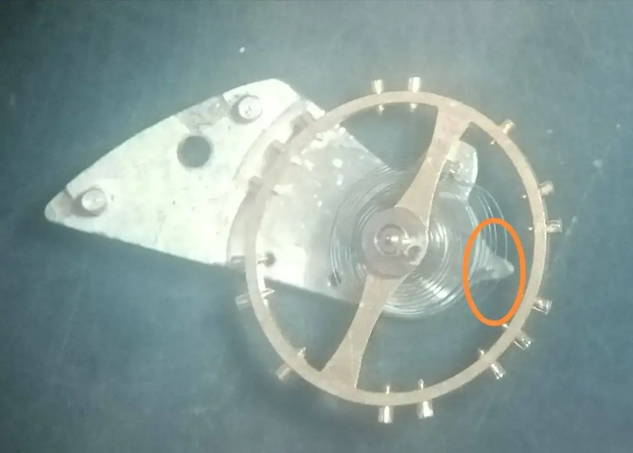 Espiral detalle 2.webp