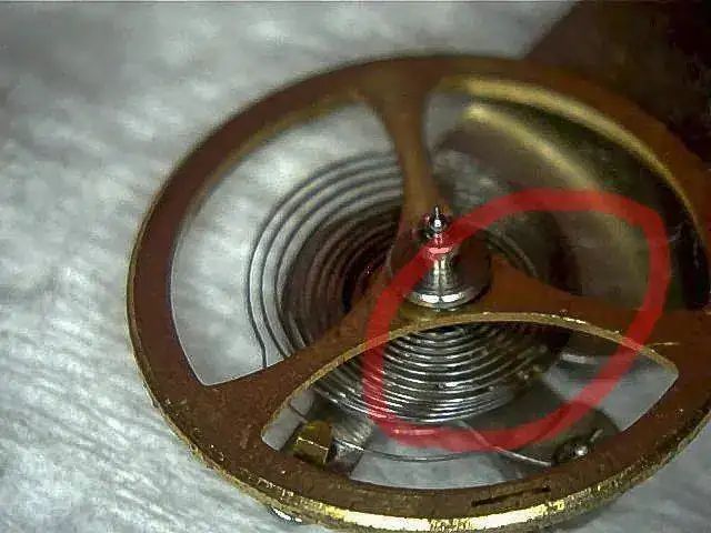 espiral.webp
