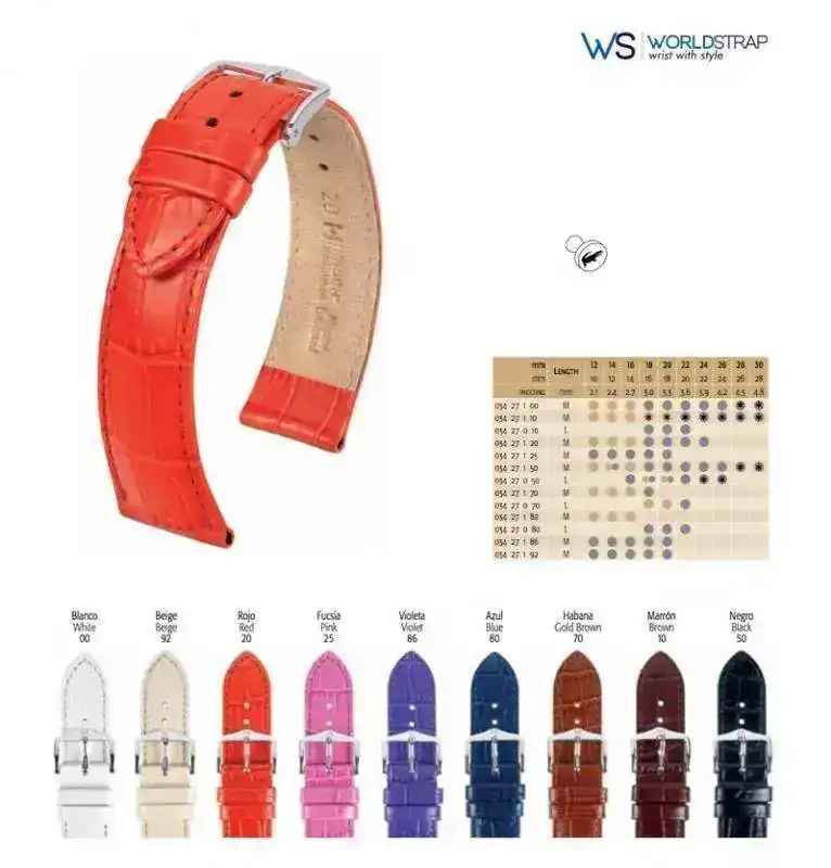 Esquema_Louisiana_Worldstrap.webp