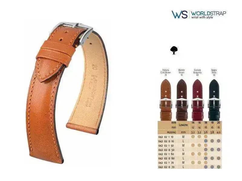 Esquema_Siena_Worldstrap.webp