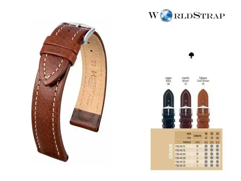 EsquemaBuffalo.webp