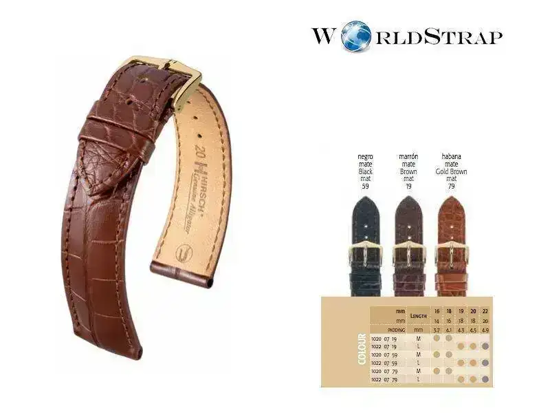 Esquemagenuinealligator.webp