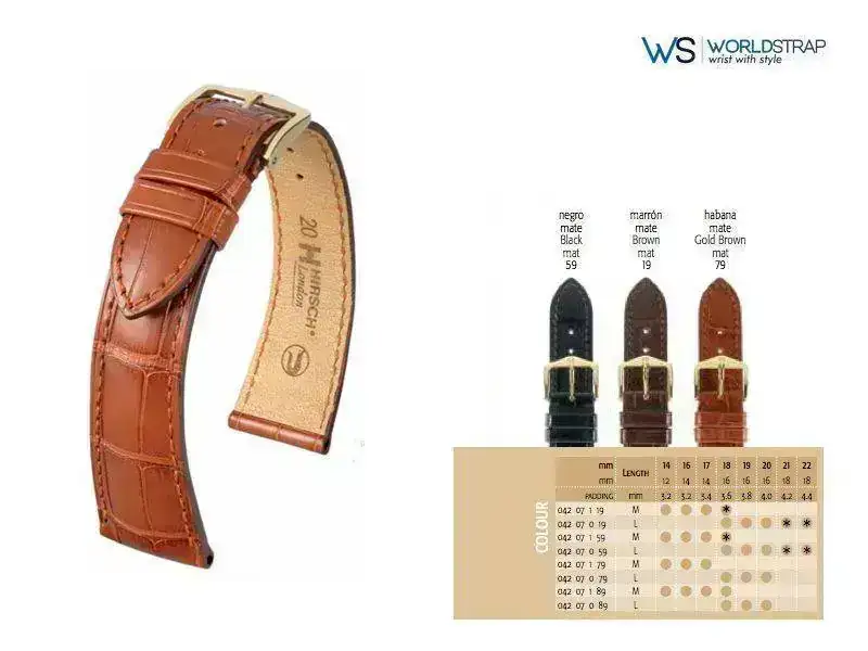 EsquemaLondon1.webp