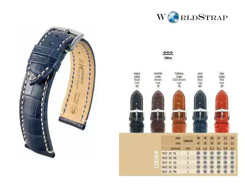 EsquemaViscountAlligator.webp