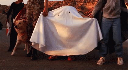 et-extra-terrestrial.gif