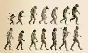 evolucion-del-hombre.webp