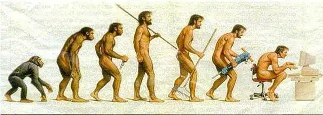 evolucion003.webp