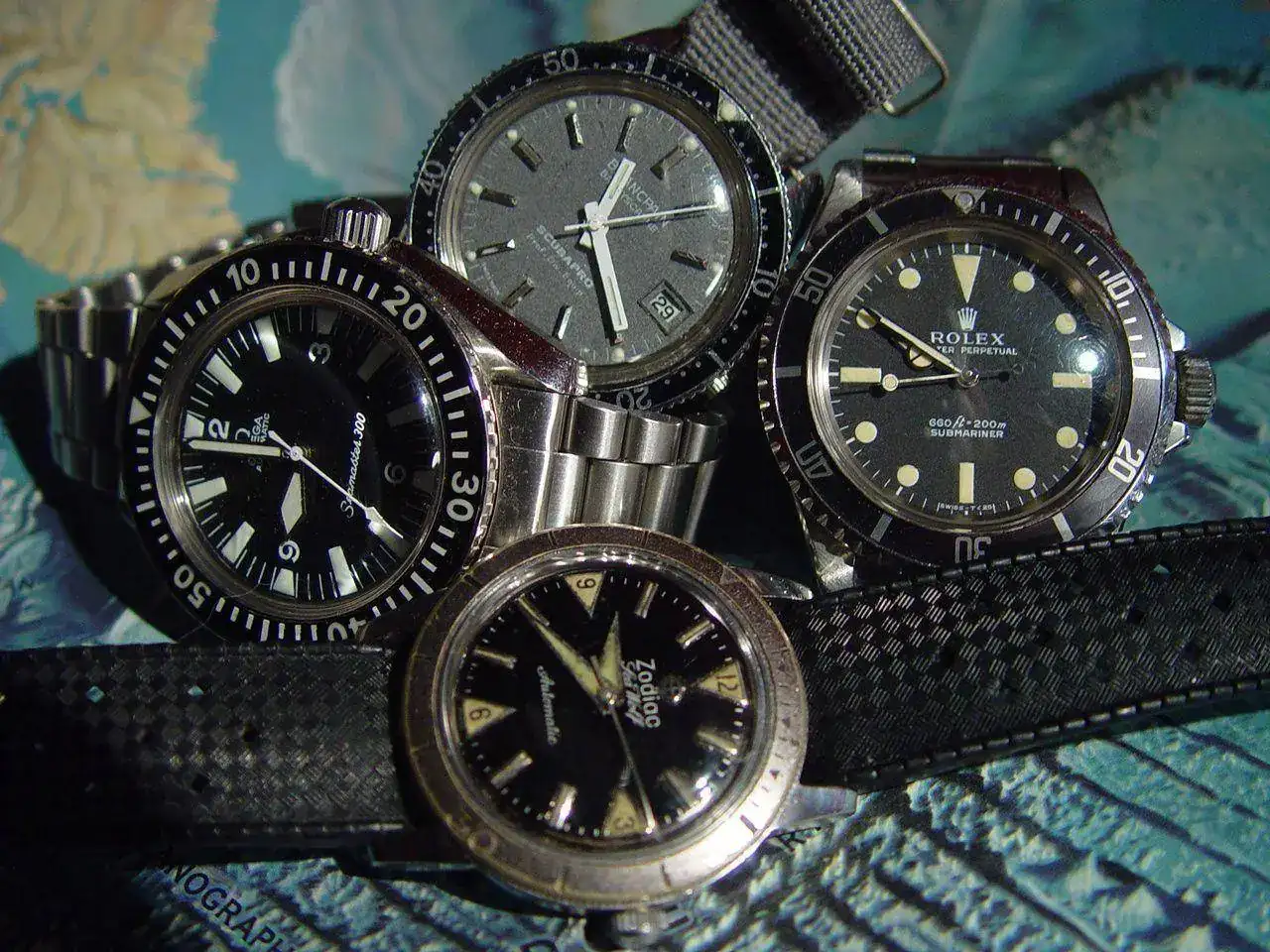 expedition-ins-tierreich-4-zodiac-seawolf-dsc03534.webp
