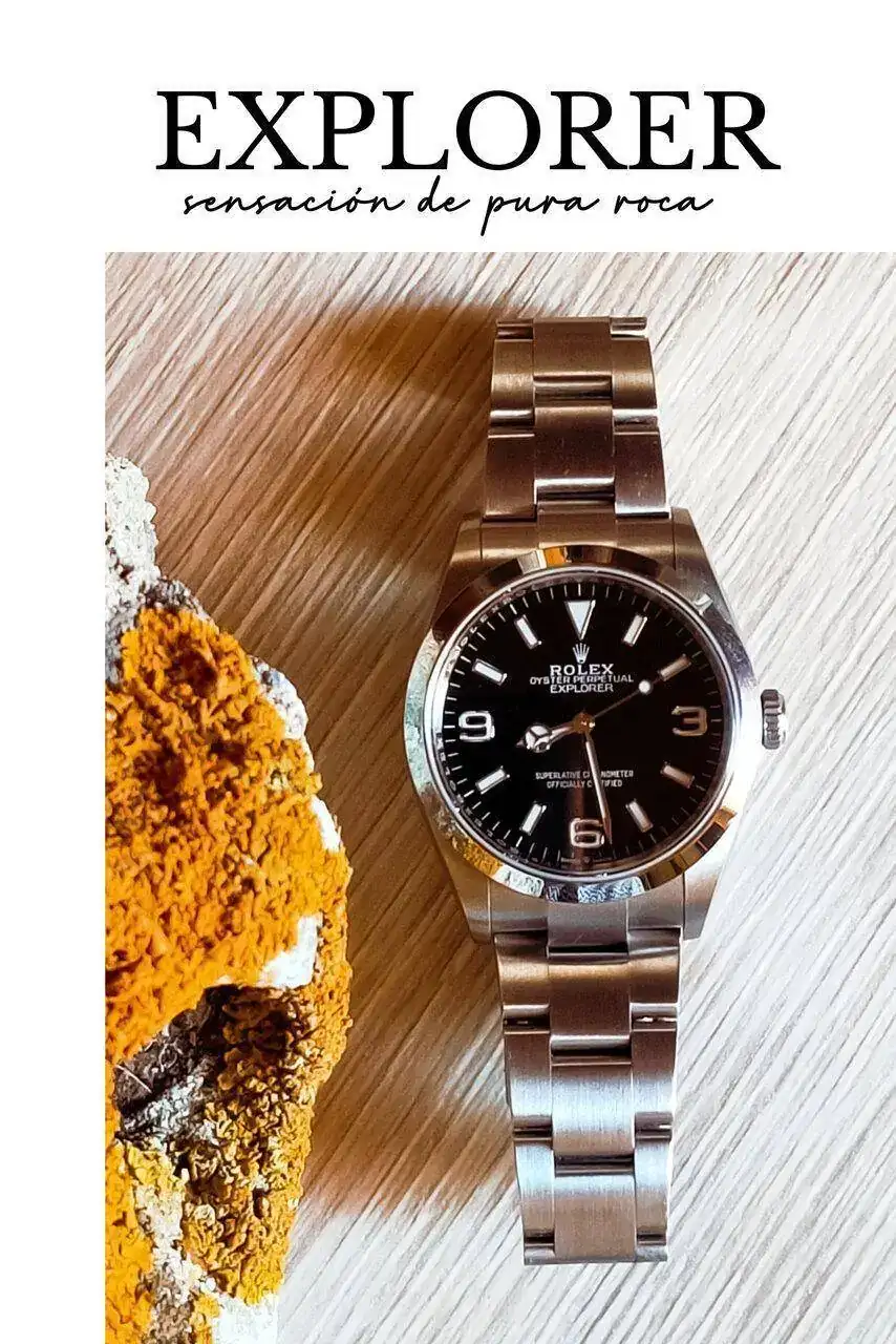 explorer041.jpg