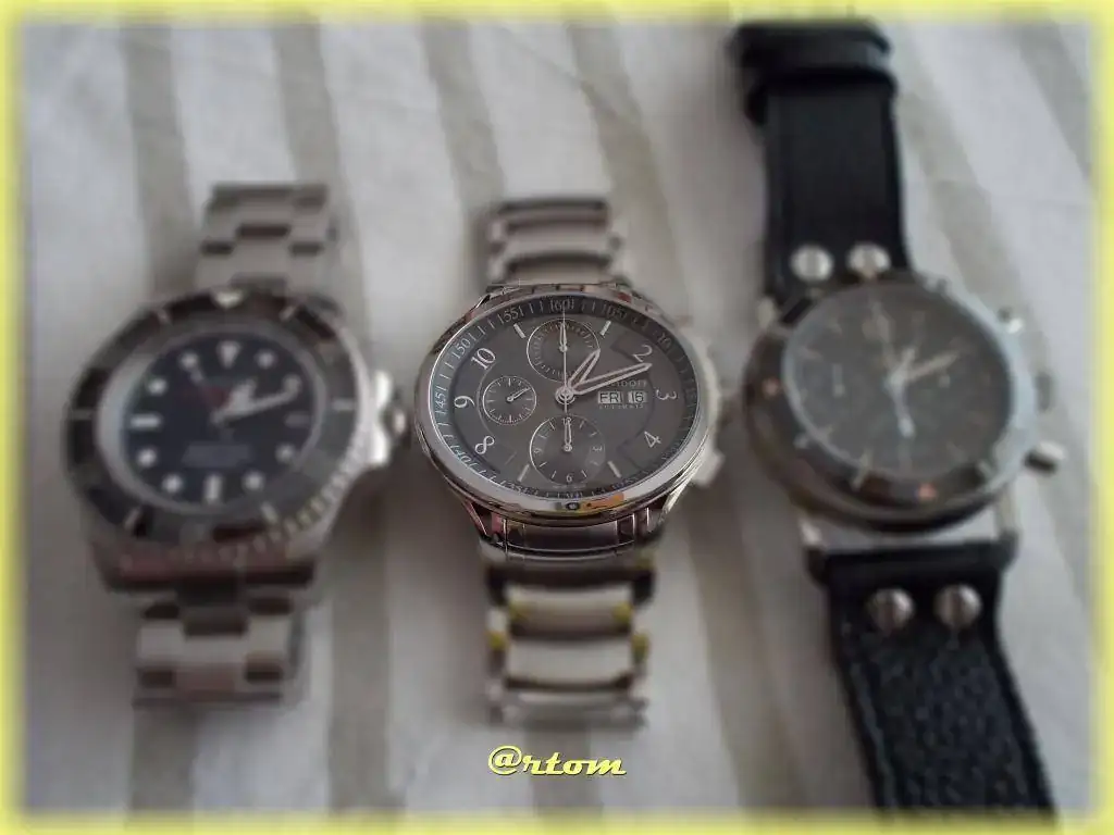 f-DSCN0980.webp