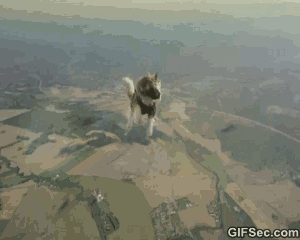 f00dc812c361f00990a84779e65cf7e9.gif
