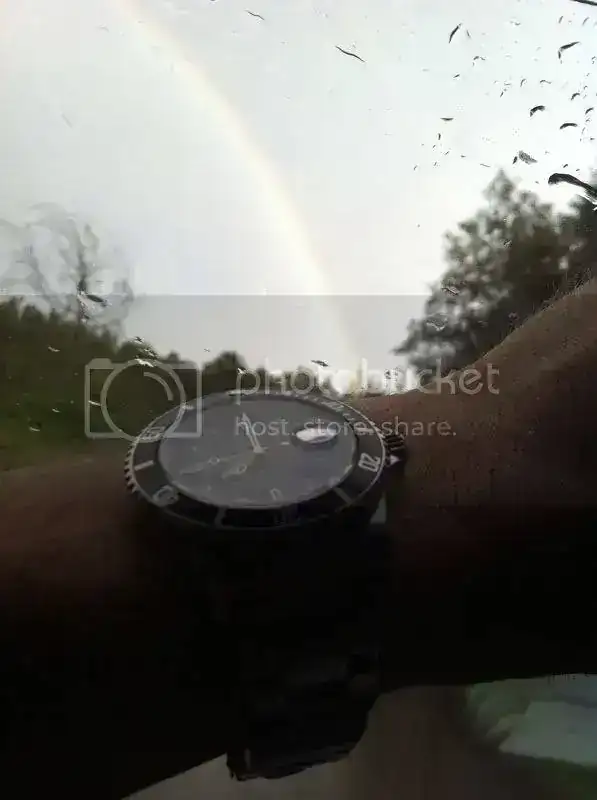 f1e335cd.webp