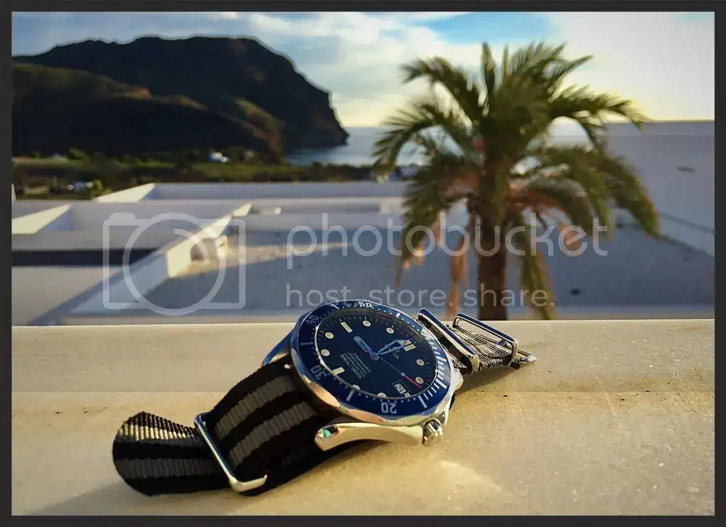 F56C1637-B49F-44A9-8138-FD25A4DF9903_zpskeddlkxb.webp