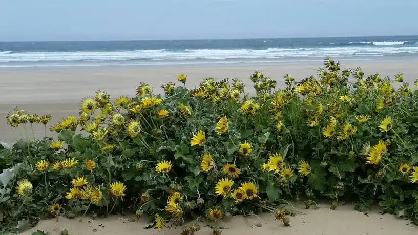 f57a6c59d7092ab83e9a78c4ecfca137.webp