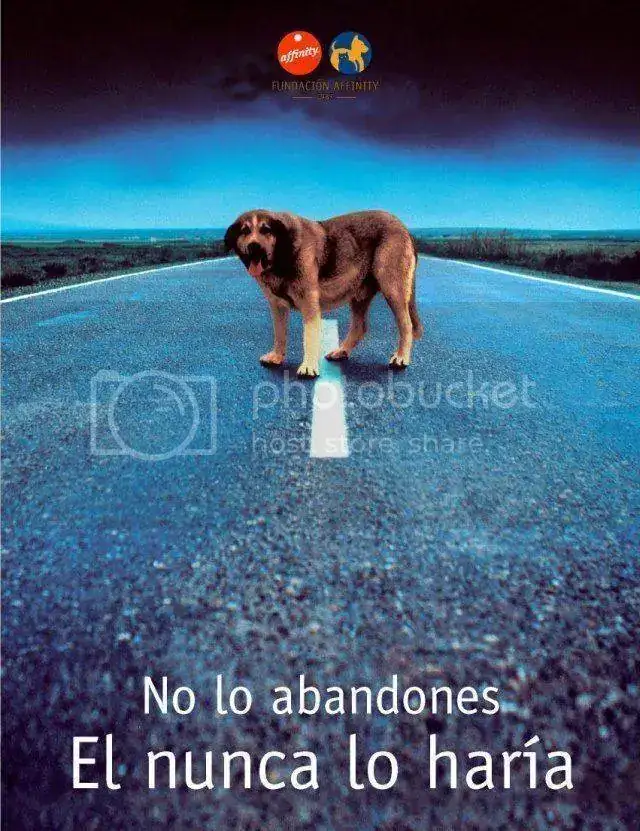 F57DDDC0-32C4-48B5-BC27-4FC02931B765_zpslm4bckcb.webp