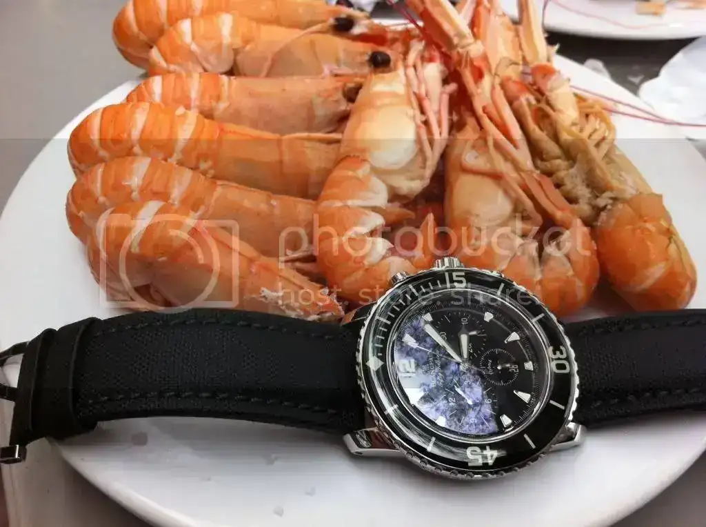 F5F1-4C82-93A8-39150C3B5356-29252-00002BA325A30A96.webp