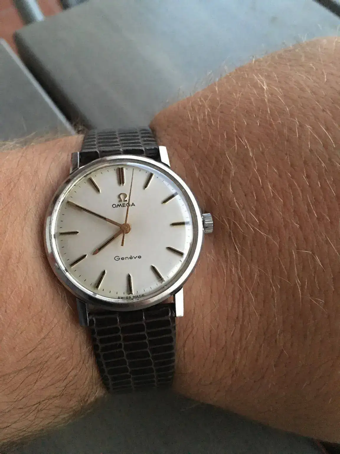 f6b0978fbf210ca1137cffa037bb7f72.webp