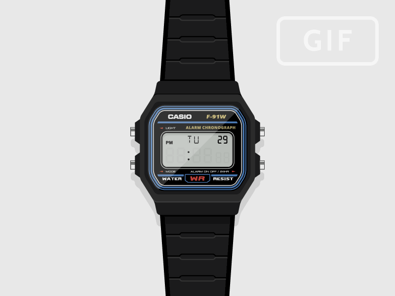 f91w-800x600.gif
