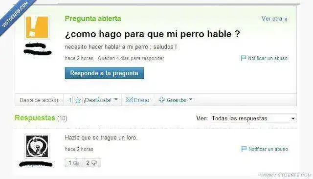 F_79661_yahoo_respuestas_haz_que_se_trague_un_loro.webp