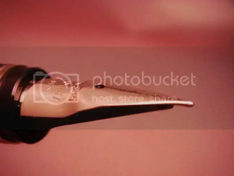 Falcon4.webp