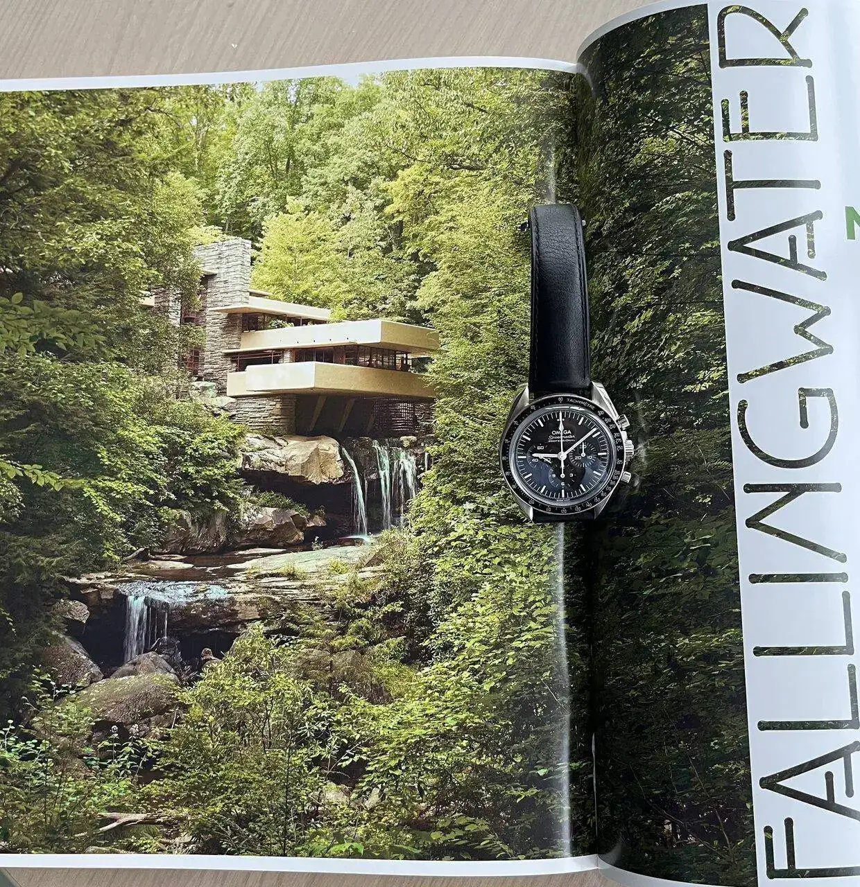 Fallingwater.webp