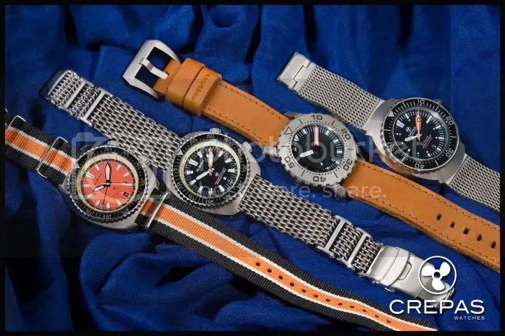Fam04cl.webp