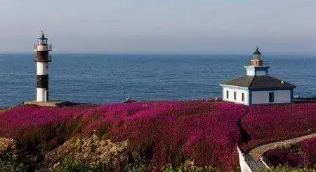 Faro-Isla-Pancha--28--885..webp