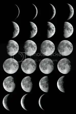 fases_luna_zpswhp7epew.webp