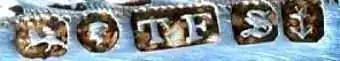 FATTORINI522.webp