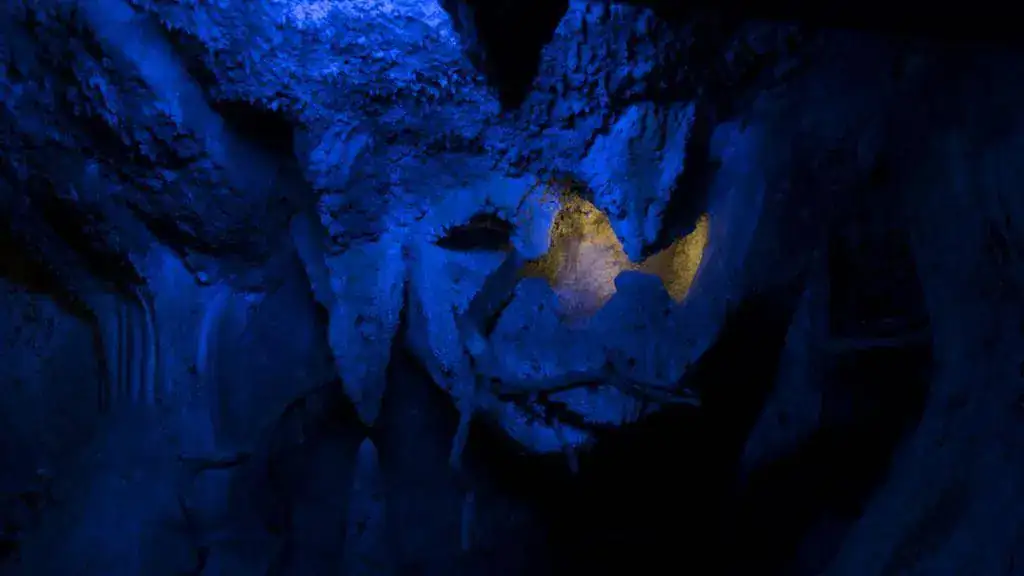 Faunia 2 - 4 - Foto 090.webp