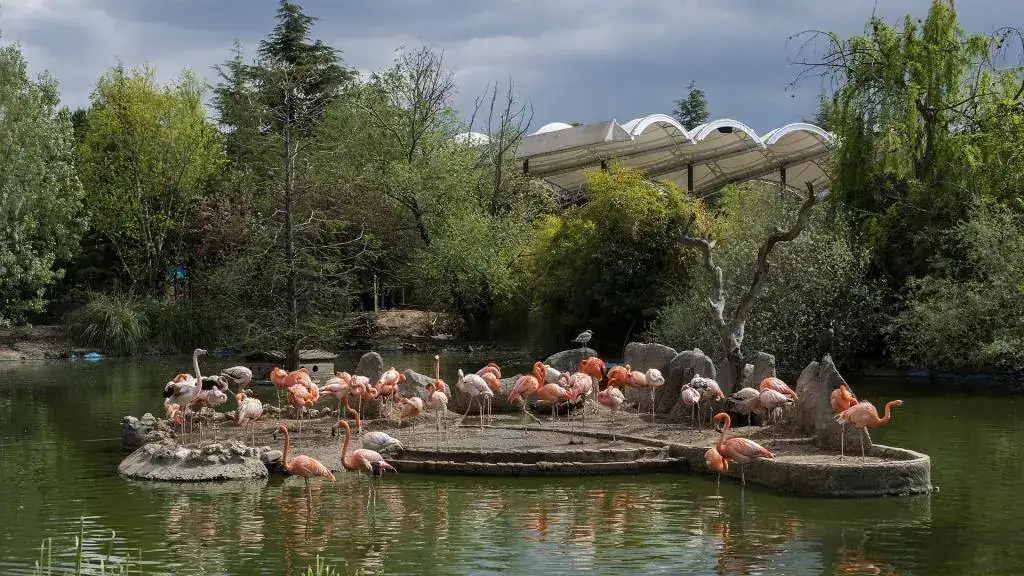 Faunia 2 - 4 - Foto 178.webp