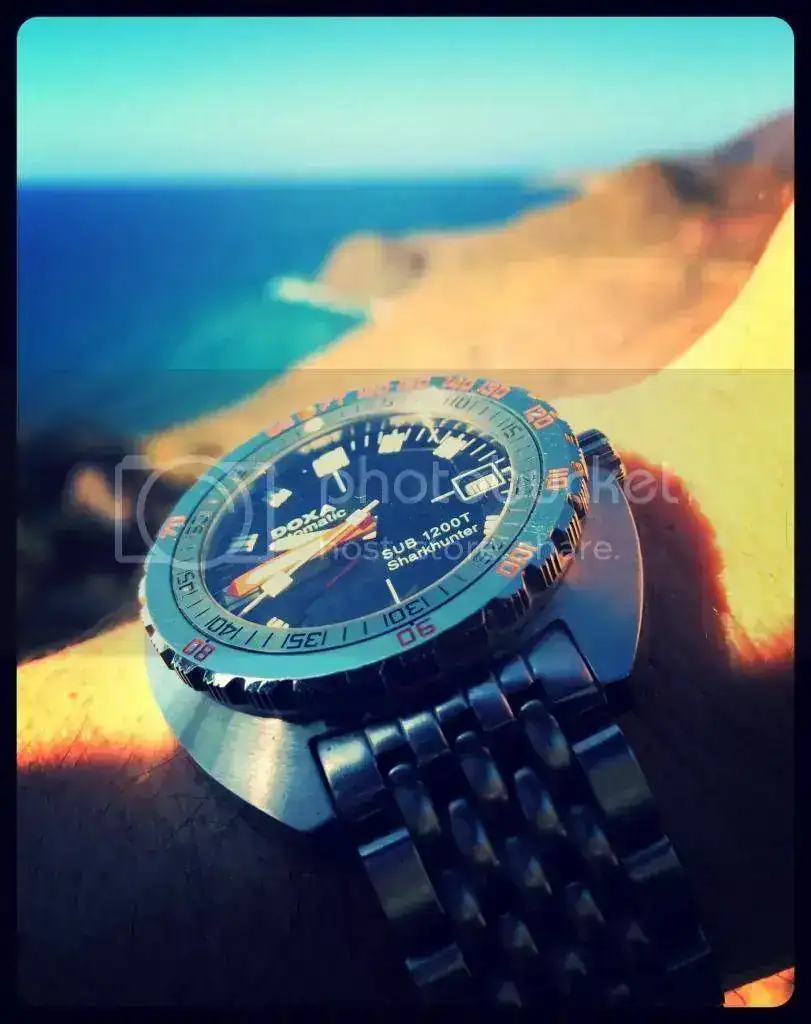 FC32B388-1F5B-4E81-A6B8-CF059796D765_zpswowiioaw.webp