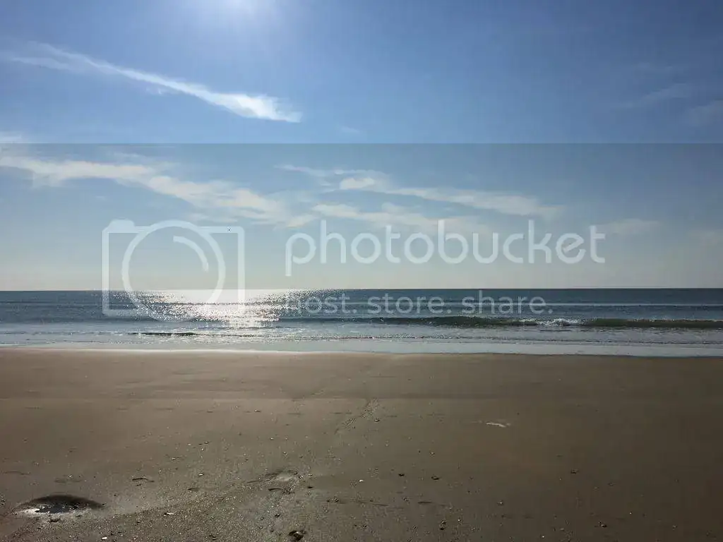 FE26180F-76C2-43B1-9740-2FD1143316C9_zpswkn5tuj5.webp
