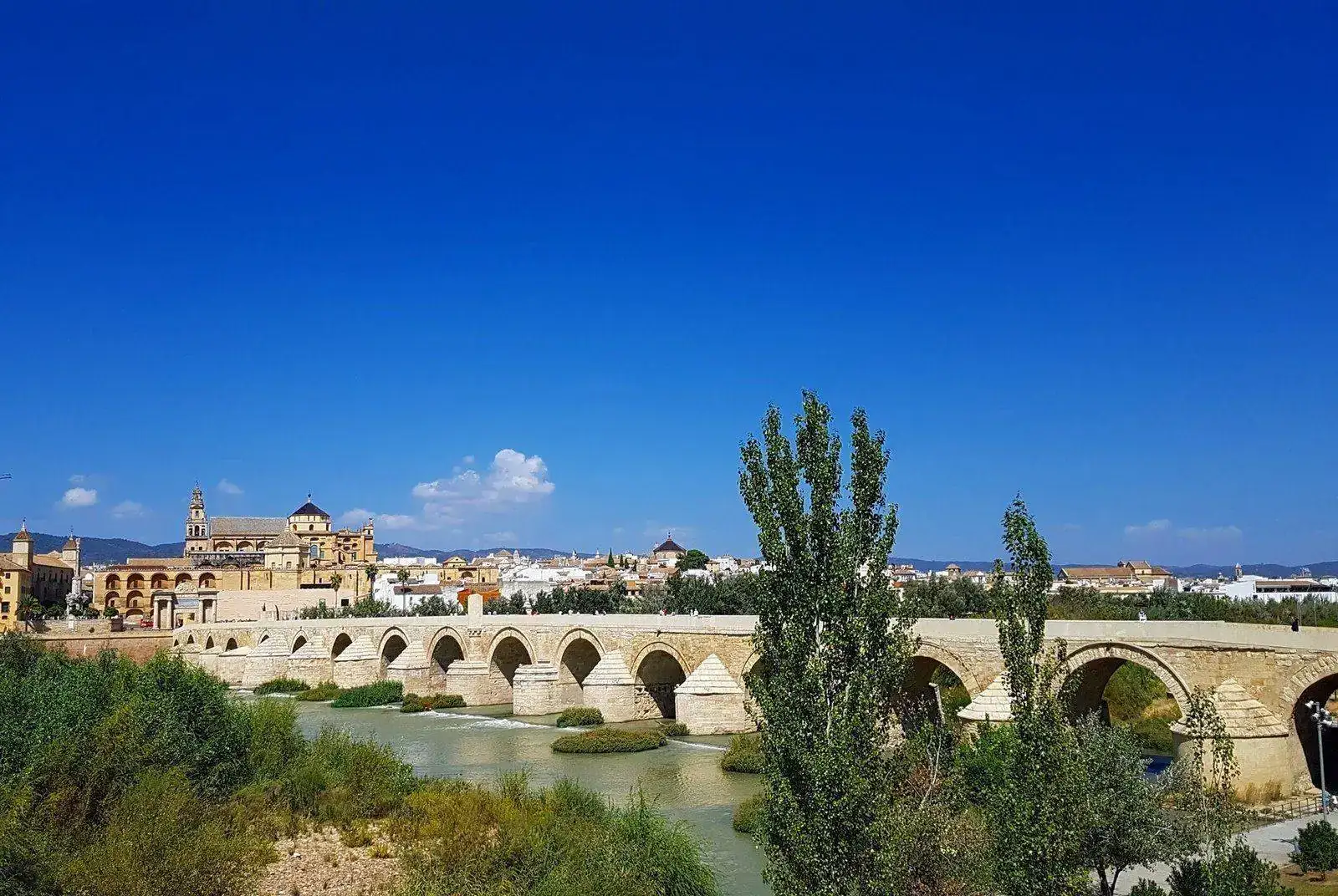 fe510535ecf91dcceccbfecdf0466928.webp