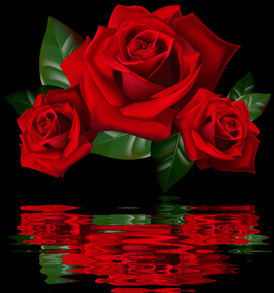 fee810a53fbc80196302ac3509e5e695.gif