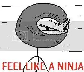 Feel-Like-A-Ninja.webp