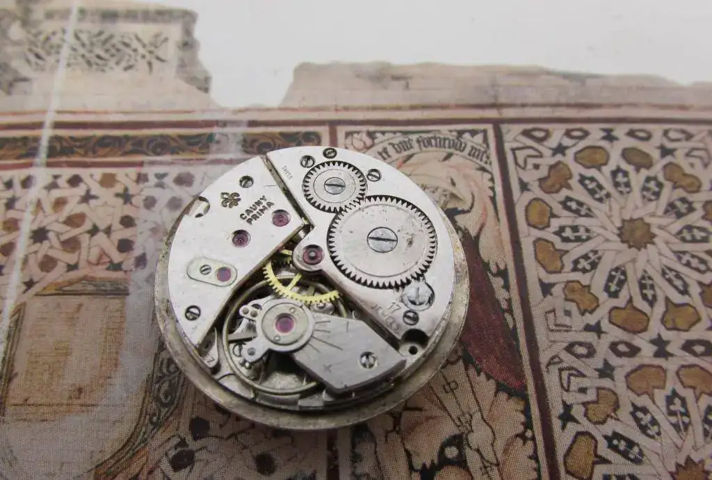 FEF290-Tempus.webp