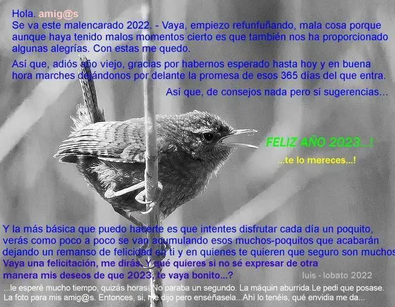 felicitacion 2023 def.webp