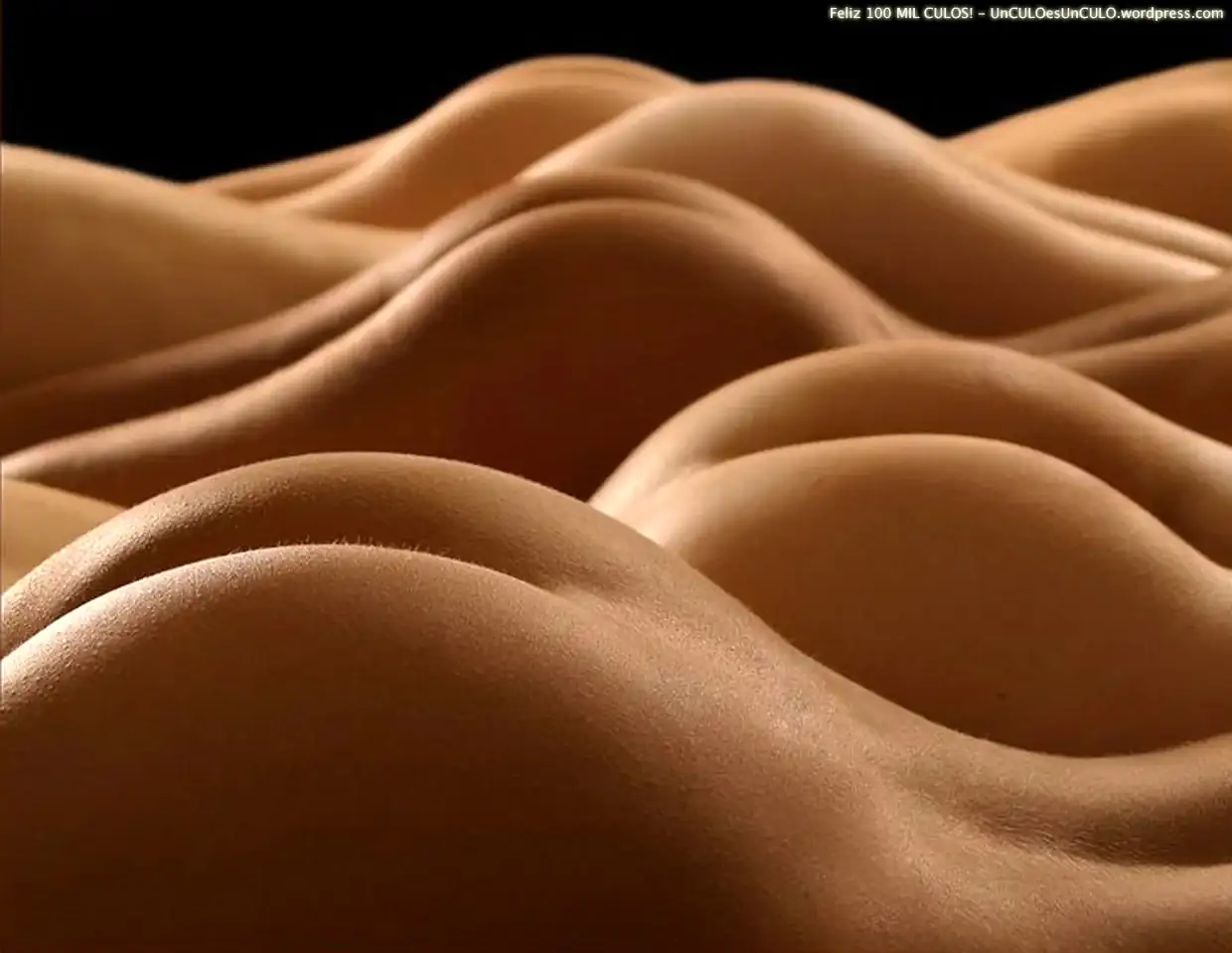 feliz-100-mil-culos.webp