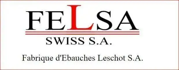 Felsa.webp