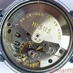 Felsa_4007.webp